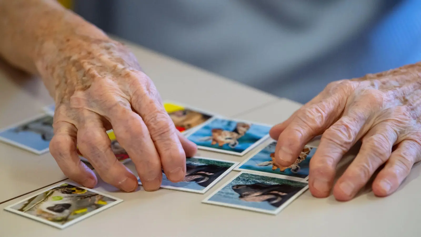 Regelmäßige Aktivitäten wie Gesellschaftsspiele fördern die kognitiven Fähigkeiten und unterstützen Menschen mit Demenz dabei, ihre Selbstständigkeit zu bewahren. (Foto: Sven Hoppe/dpa/dpa-tmn)