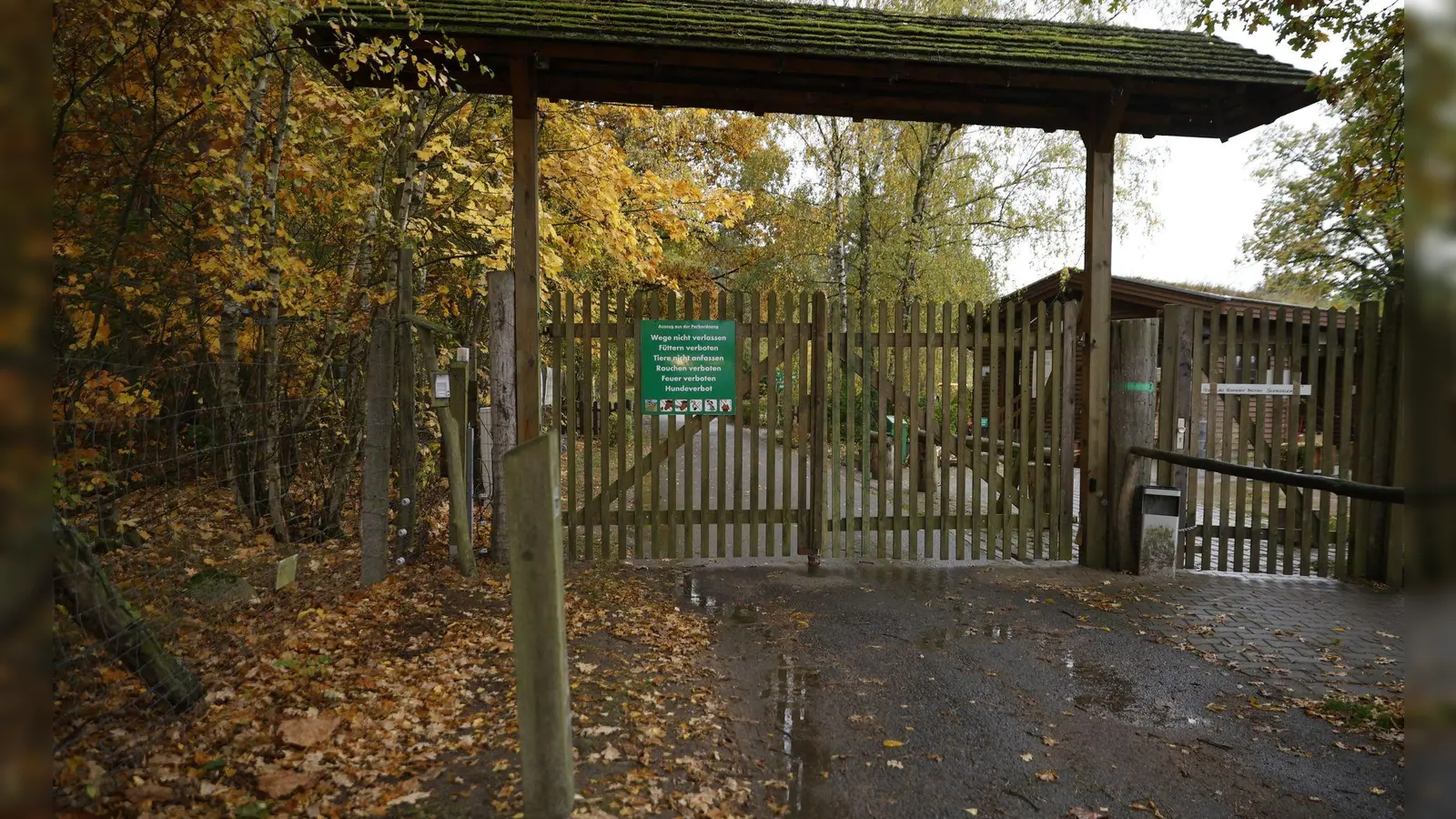 Die Polizei untersucht, wie es zu dem Angriff eines Wolf im Wildpark Johannismühle kommen konnte.   (Foto: Carsten Koall/dpa)