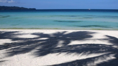 Palmen werfen Schatten auf den Strand. (Foto: Aaron Favila/AP/dpa/Archivbild)