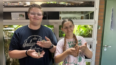 Andreas Vogt und Emilia Petter kümmern sich in der Aqua-Terra-AG am Theresien-Gymnasium um exotische Geschöpfe. (Foto: Lara Hausleitner)