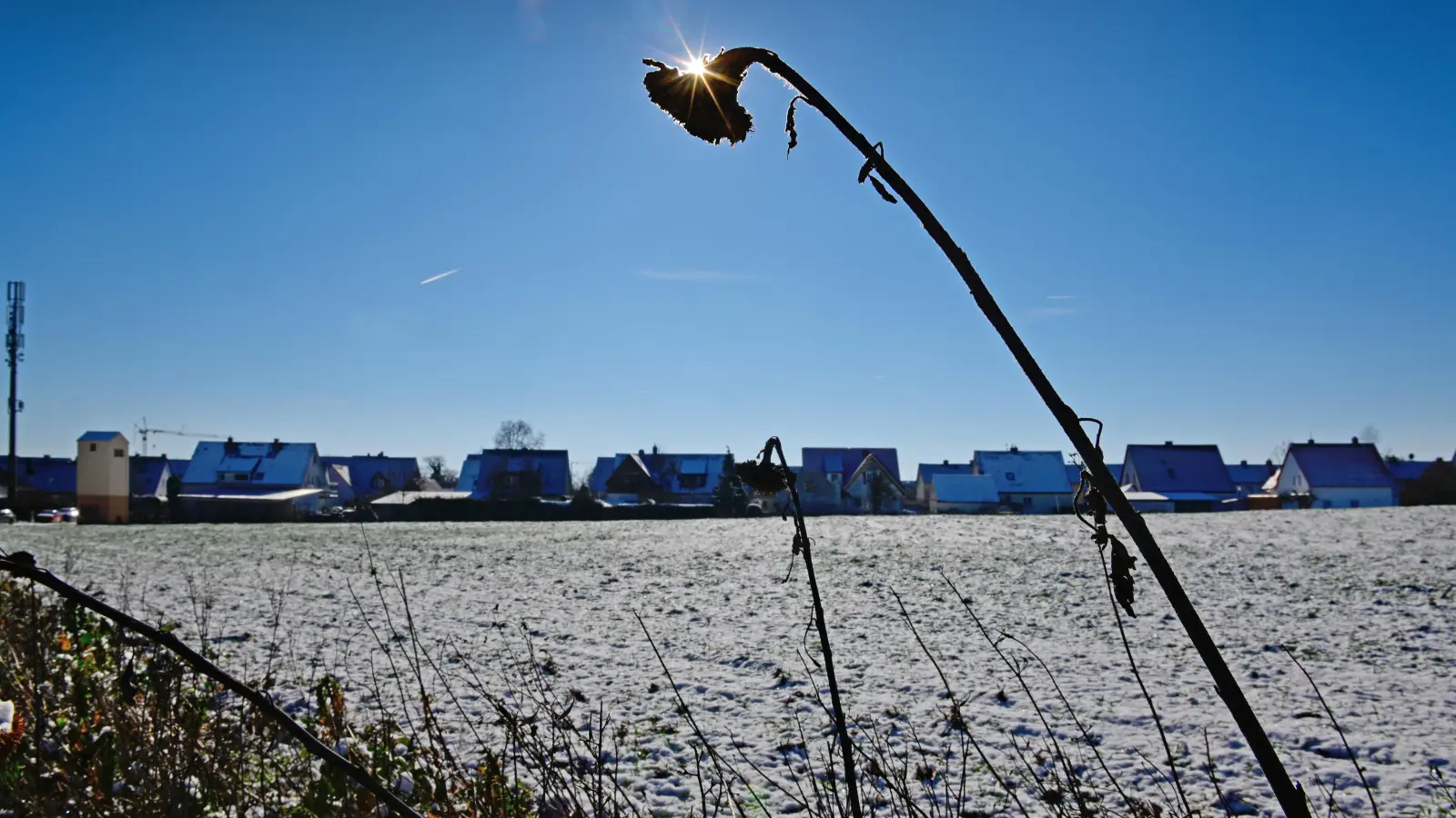 Hier soll das Baugebiet Schellenkreuz entstehen. Südlich grenzt es an die Häuser der Wiesenstraße an, auch sie sind für einen möglichen Betreiber als Wärme-Abnehmer interessant. (Foto: Jim Albright)