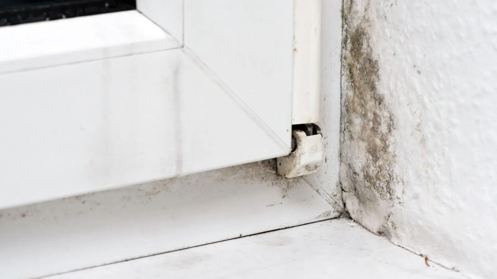 Mit 70-prozentigem Ethylalkohol soll sich kleinflächiger Schimmelpilz in der Wohnung beseitigen lassen. (Foto: Andrea Warnecke/dpa-tmn)
