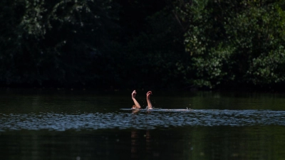 Wer in Not gerät, sollte auf sich aufmerksam machen - etwa mit den Armen winken und rufen. (Foto: Fabian Sommer/dpa/dpa-tmn)