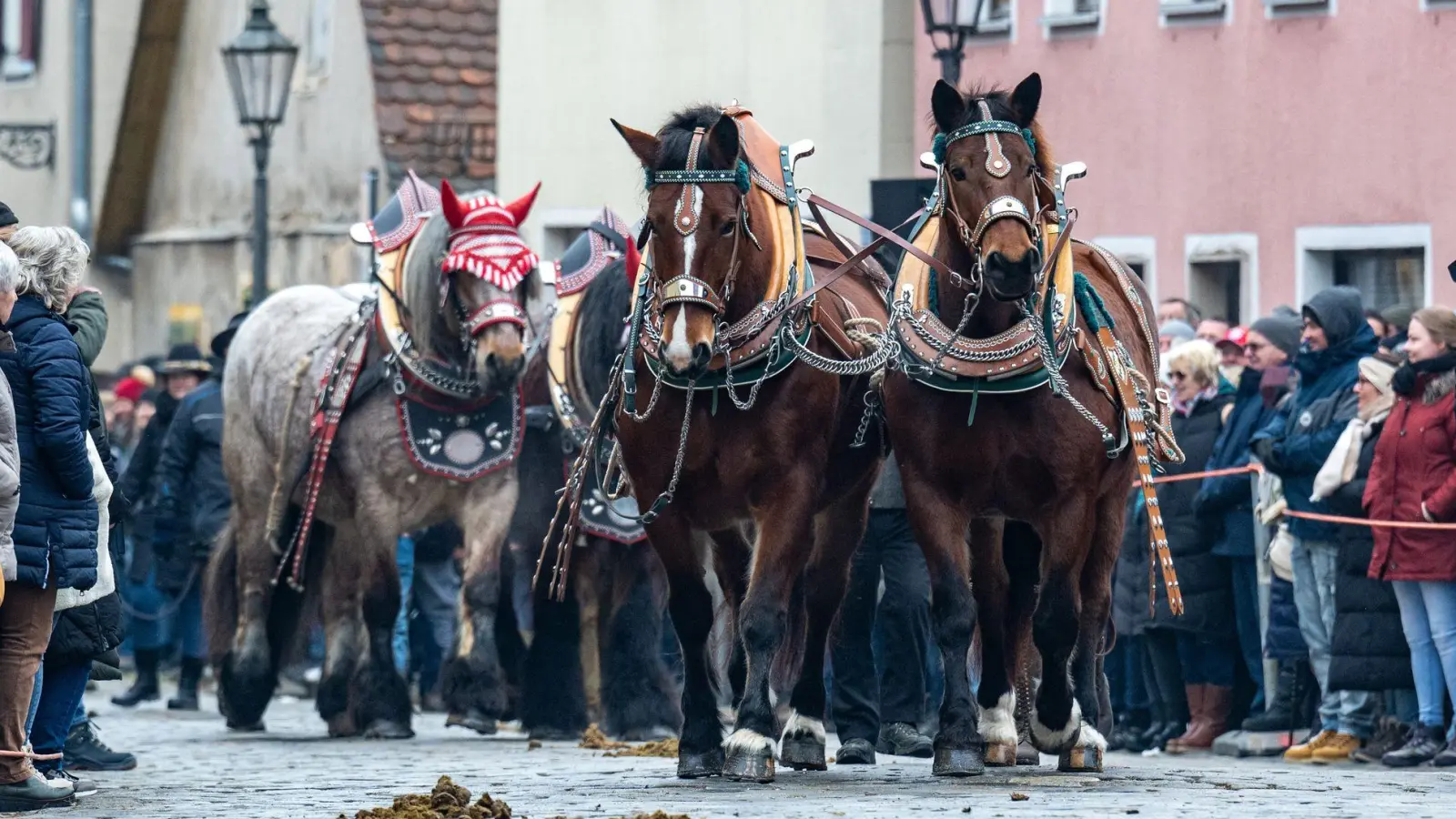 Der Berchinger Rossmarkt hat eine lange Tradition. (Foto: Armin Weigel/dpa)