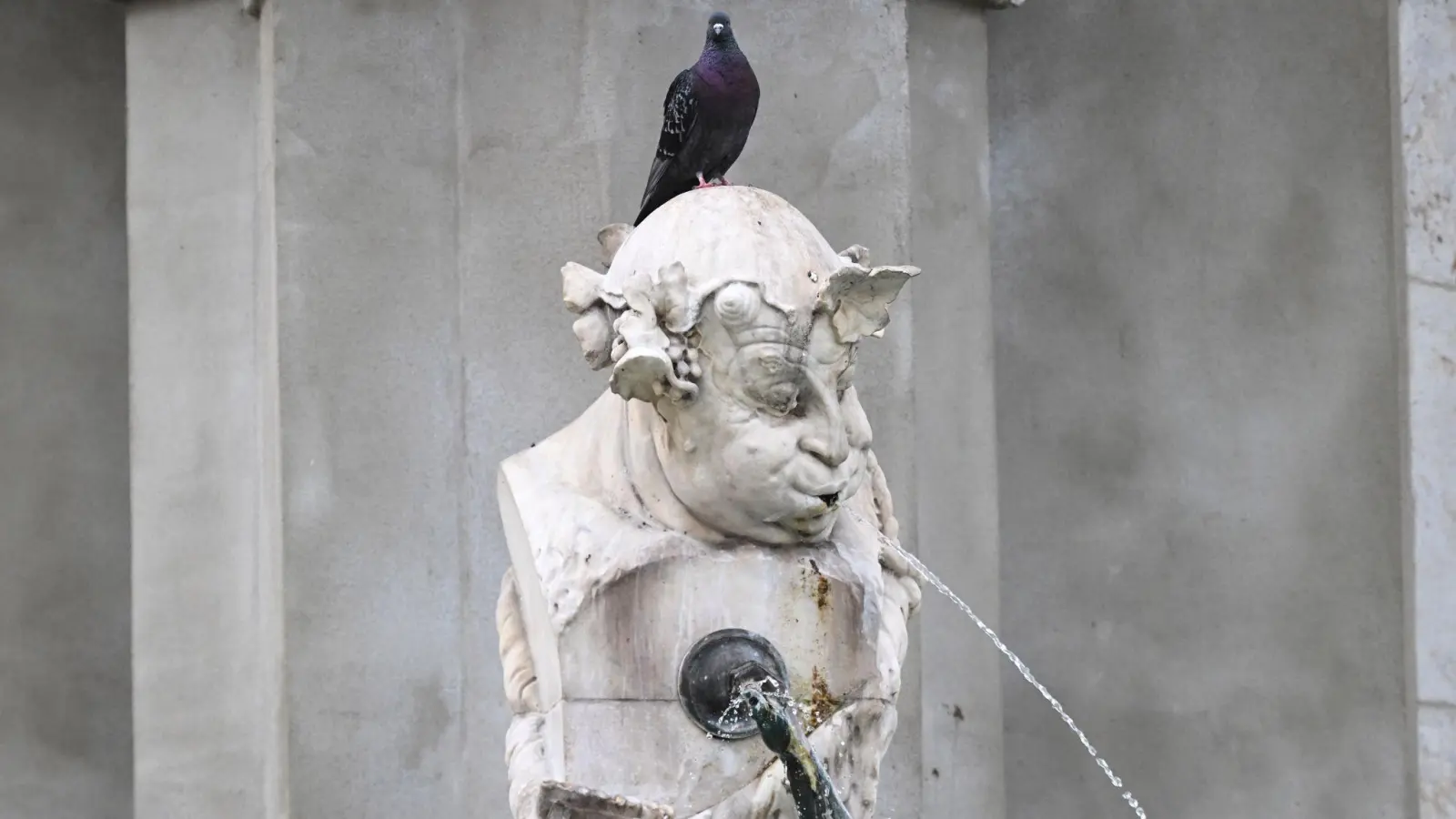 Das Wochenende in Bayern verspricht angenehmes Wetter ohne große Hitze. (Symbolbild) (Foto: Felix Hörhager/dpa)