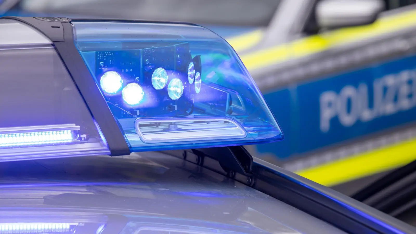 Zahlreiche Polizisten waren am Hauptbahnhof im Einsatz. (Foto: Daniel Karmann/dpa)