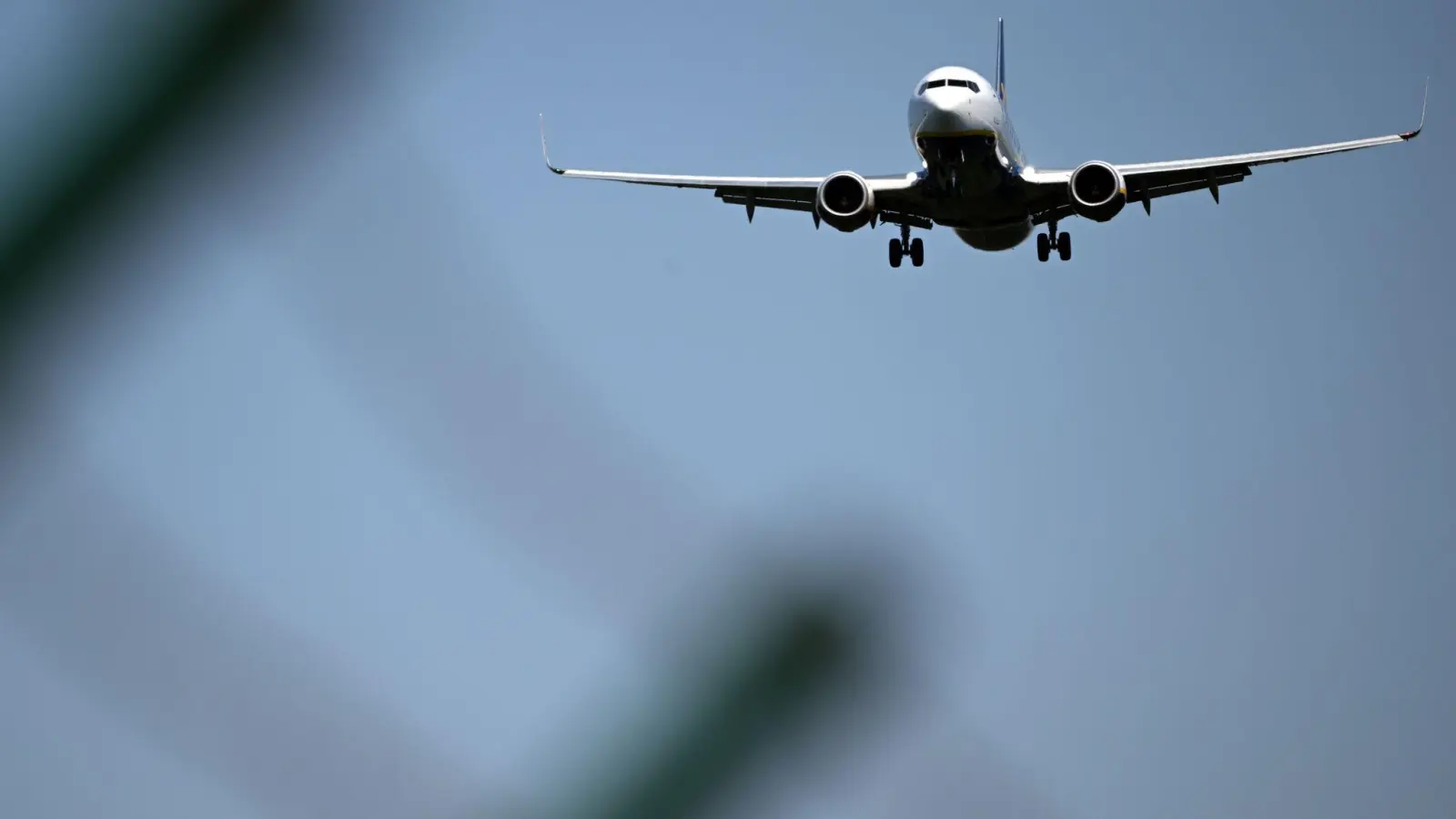 Eine Maschine von Ryanair landet auf dem Konrad-Adenauer-Flughafen Köln-Bonn. (Foto: Federico Gambarini/dpa)