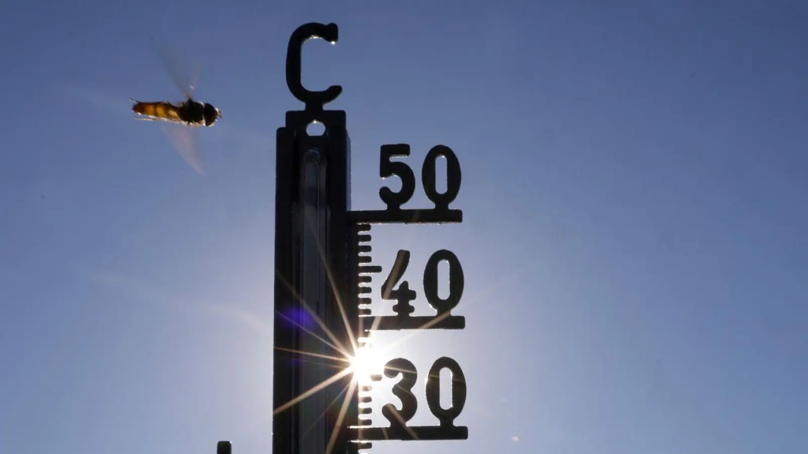 Die Temperaturen können bei bis zu 39 Grad liegen.  (Foto: Thomas Warnack/dpa)