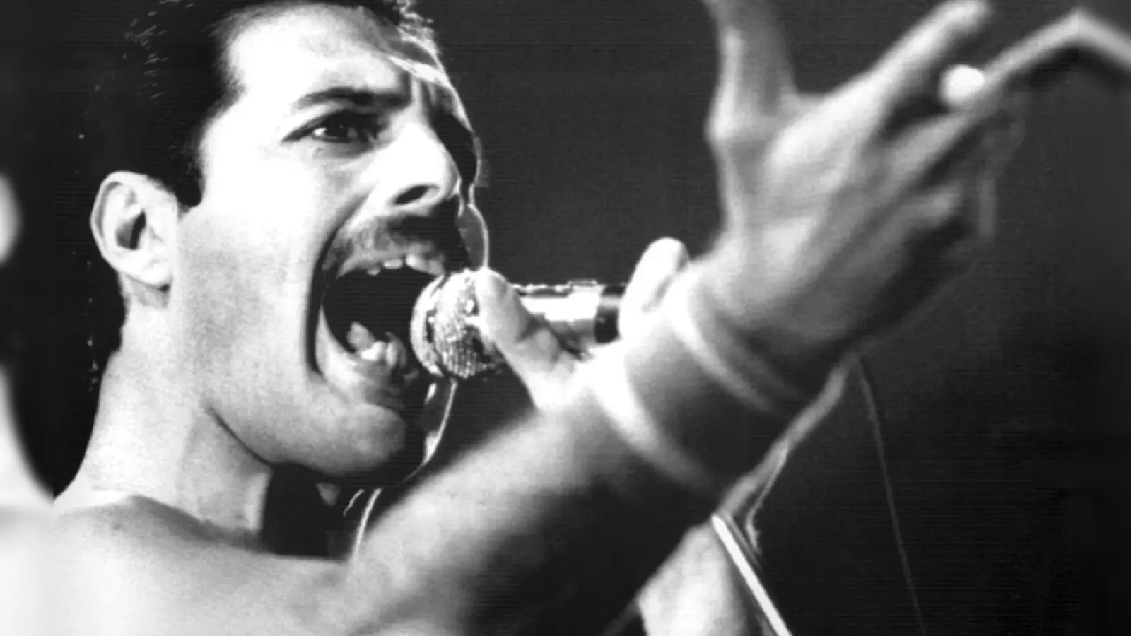 Was sog den Sänger an die Isar?  (Foto: dpa)