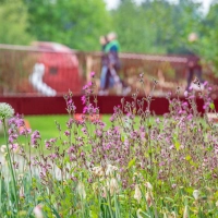 2025 fand die Landesgartenschau in Furth im Wald statt. (Archivbild) (Foto: Armin Weigel/dpa)