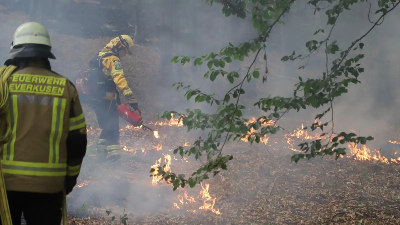  Mehrere Hundert Hektar Waldfläche stehen in Flammen. (Foto: Sascha Thelen/dpa)