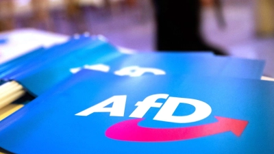 Ein Erlanger AfD-Stadtratskandidat erhielt 9.900 Stimmen - hätte aber gar nicht kandidieren dürfen. (Symbolbild)  (Foto: Daniel Karmann/dpa)