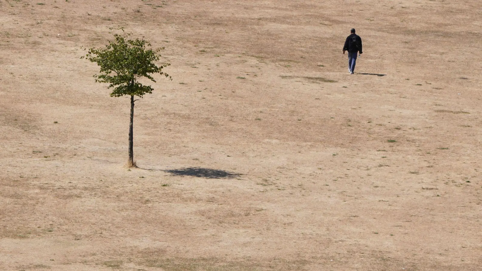 Die Hitzewelle des vergangenen Sommers wirkt sich auch auf die Konjunktur aus. (Symbolbild) (Foto: Kirsty Wigglesworth/AP/dpa)