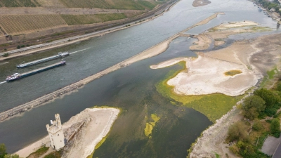 Durch geringe Niederschläge ist der Pegelstand im Rhein dieses Jahr so stark gesunken, dass die Binnenschifffahrt fast zum Erliegen gekommen ist. (Foto: Boris Roessler/dpa)