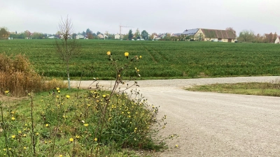 Westlich der Süd-Ost-Tangente, also in Richtung Stadt, will sich die BayWa ansiedeln. (Foto: Clarissa Kleinschrot)