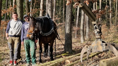Mensch, Pferd und Maschine im Einklang: Tim Willer (links) und Tino Laux wollen das Holzrücken per Pferd wieder bekannter machen. (Foto: Andrea Walke)