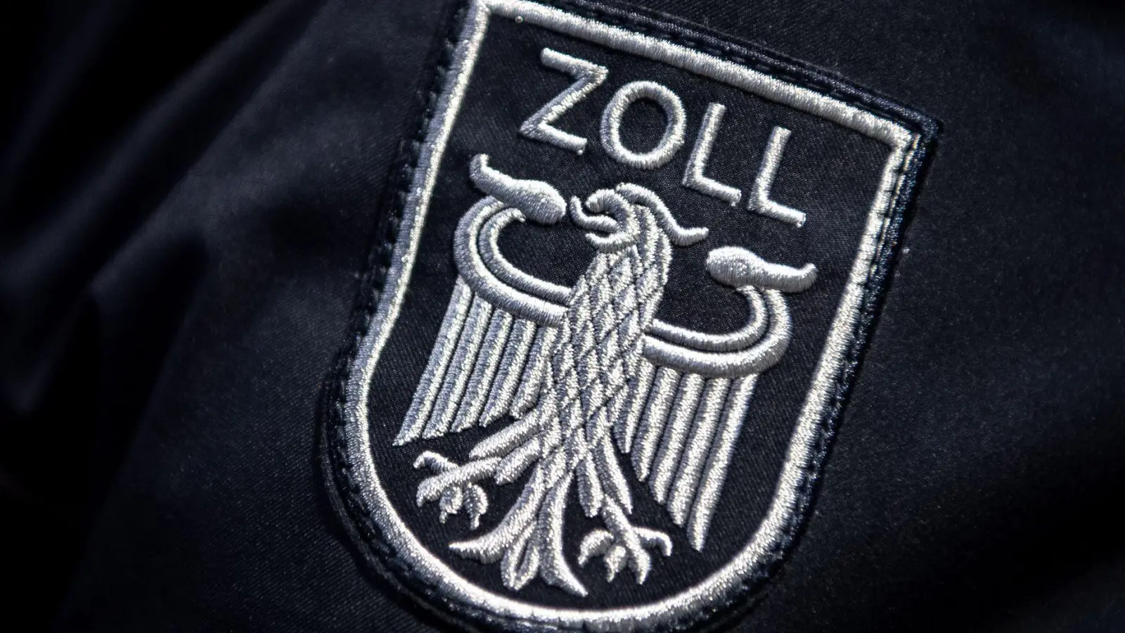 Das Zollamt kontrollierte den Lastwagen. (Symbolbild) (Foto: Sina Schuldt/dpa)