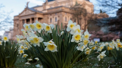 Temperaturen bis zu 18 Grad erwartet der Wetterdienst in den kommenden Tagen. (Foto: Jörg Halisch/dpa)