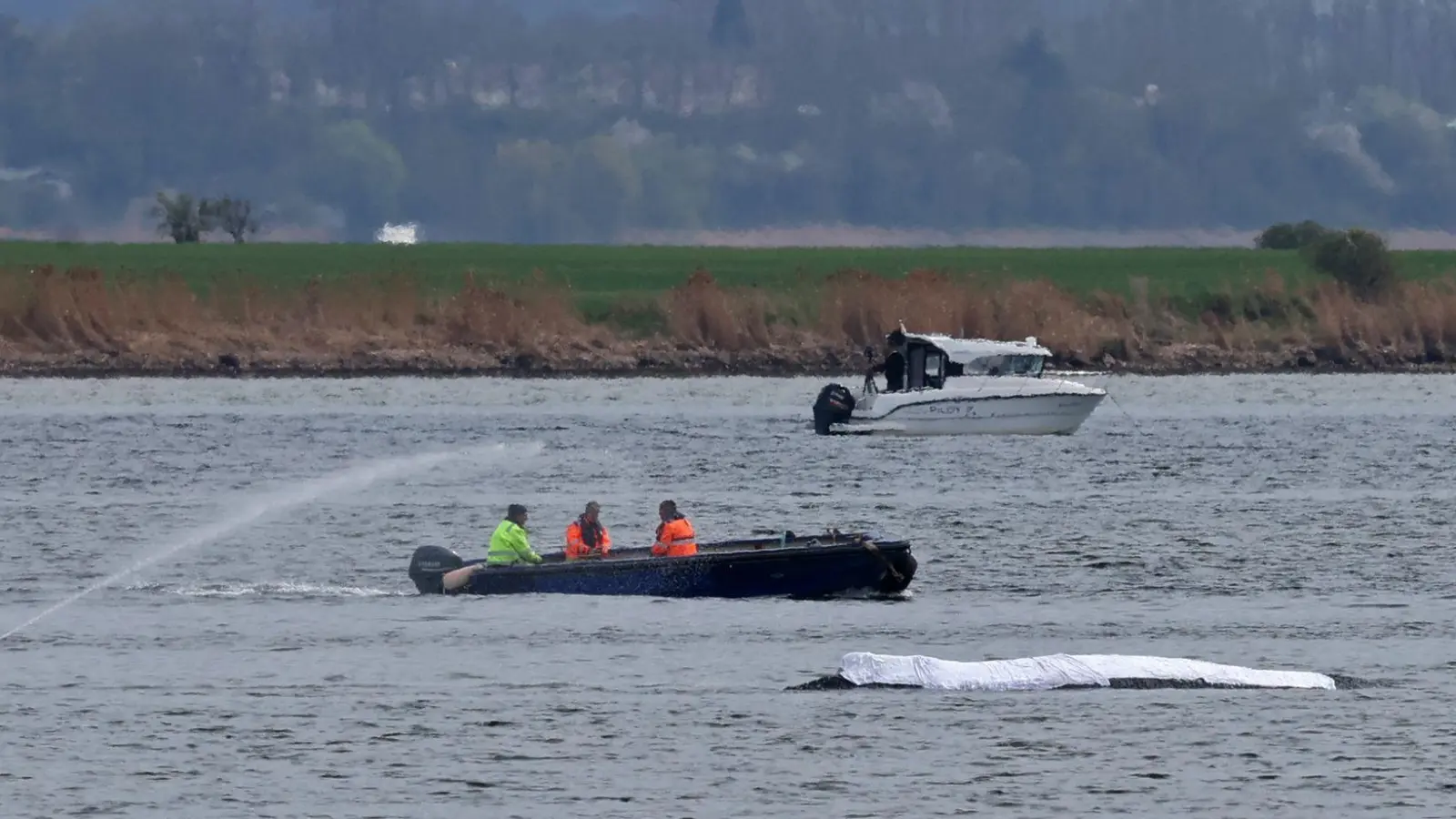 Die Rettungsaktion läuft, aber der Wal sollte am Samstag nicht mehr transportiert werden. (Foto: Bernd Wüstneck/dpa)