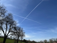 Kreuz und quer - gesehen bei Sinbronn (Foto: Georg Piott)
