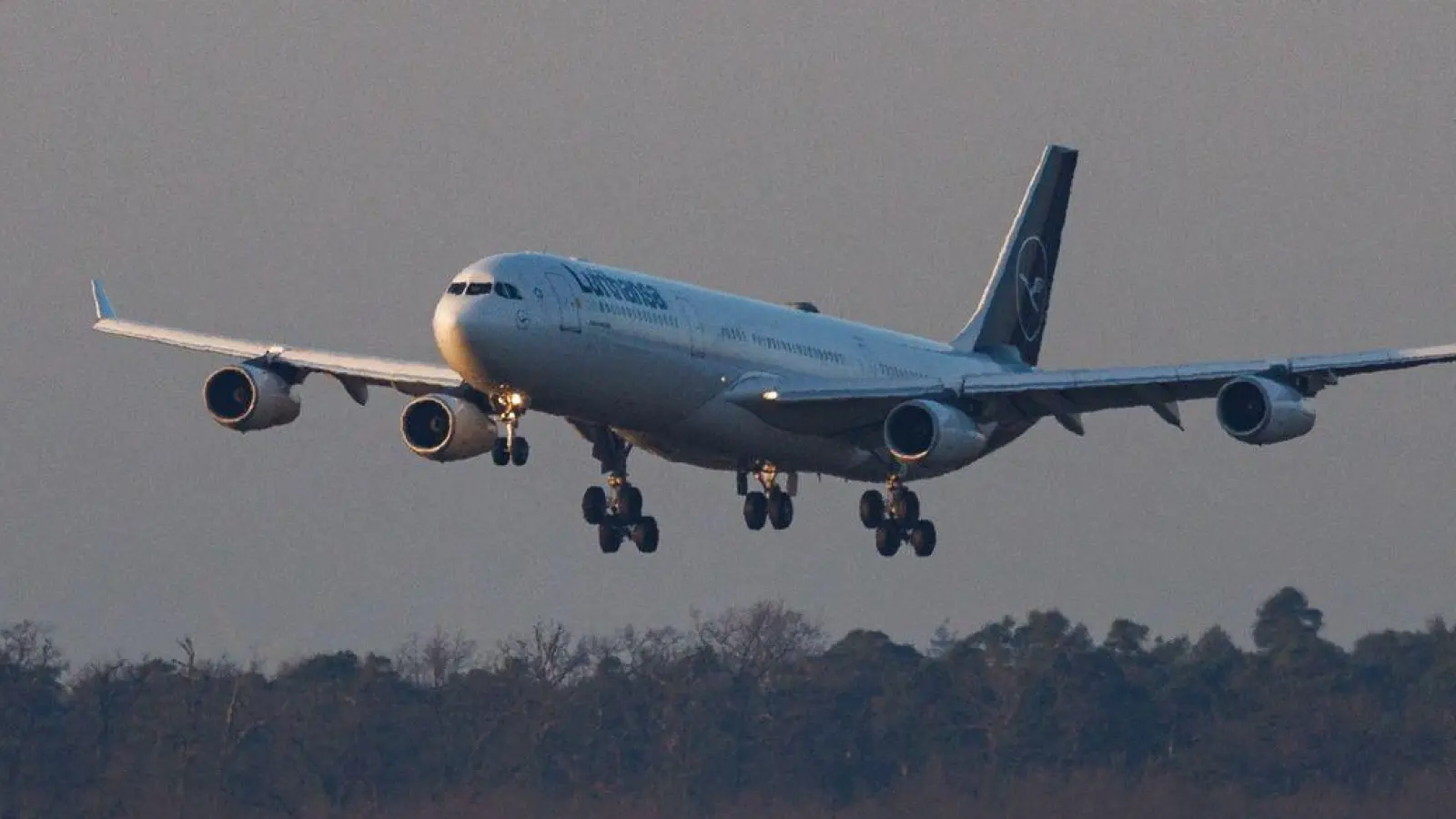 Der erste Evakuierungsflug im Auftrag der Bundesregierung war am frühen Donnerstagmorgen am Frankfurter Flughafen gelandet.  (Foto: Hannes P. Albert/dpa)