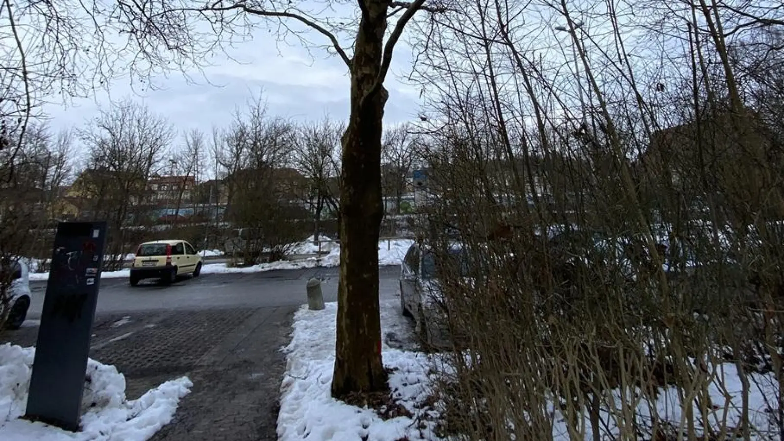 Auf den Parkplätzen an der Rezat werden Bäume für den Hochwasserschutz gefällt.  (Foto: Wasserwirtschaftsamt Ansbach)
