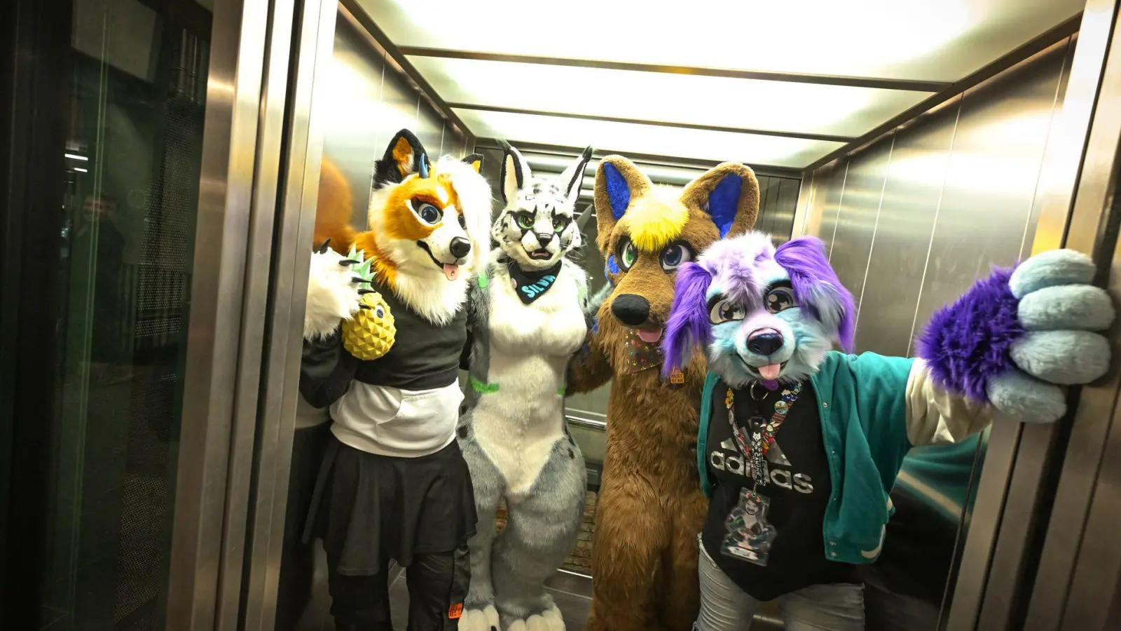 Etwa 100.000 Menschen gehören Schätzungen zufolge mittlerweile dem Furry Fandom in Deutschland an - Tendenz steigend. (Archivbild) (Foto: Felix Kästle/dpa)