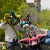 Schon zum dritten Mal besuchen die Ulmer Furs Dinkelsbühl und stehen für Fotos mit Passantinnen und Passanten bereit. (Foto: Robin Groß)