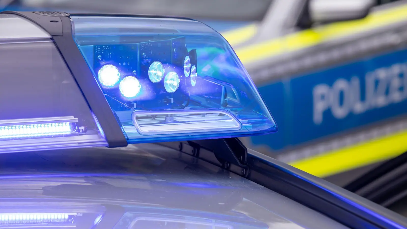 In Niederbayern hat die Polizei zwei Hunde aus einem Auto befreit. (Symbolbild) (Foto: Daniel Karmann/dpa)