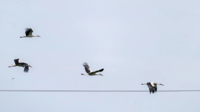 Das Wetter in Bayern stabilisiert sich.  (Foto: Pia Bayer/dpa)