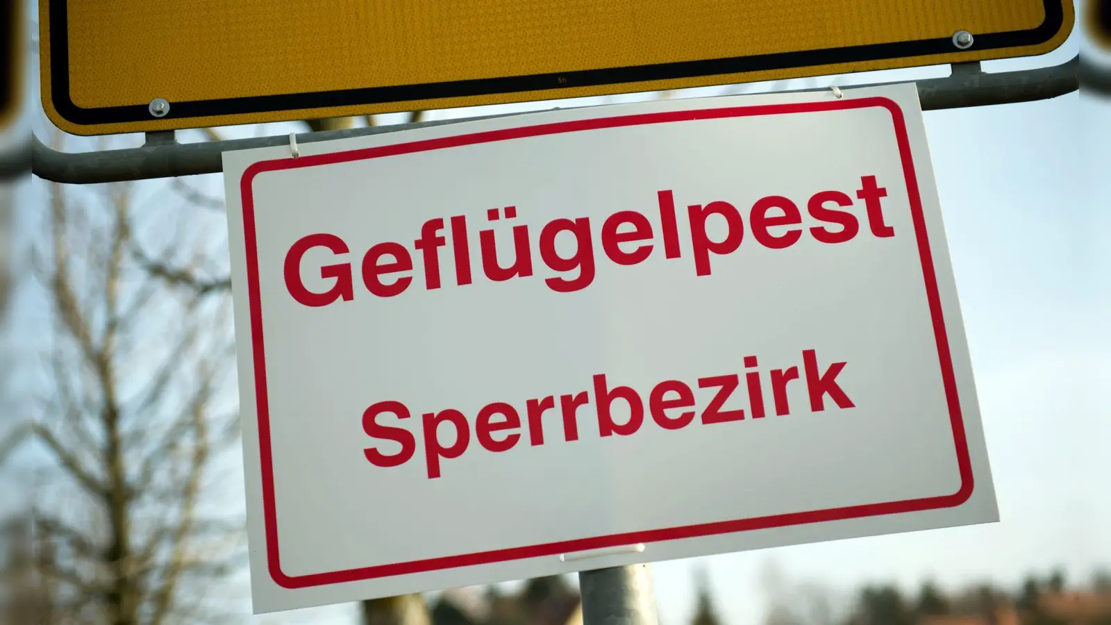 Am 13. April soll die Schutzzone wegen der Geflügelpest im Landkreis Ansbach aufgehoben werden. (Symbolbild: Arno Burgi/dpa-Zentralbild/dpa/Archivbild)