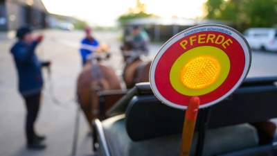 Bei Stettberg im Landkreis Ansbach sind bei einem Unfall mit einer Kutsche zwei Personen leicht verletzt worden. (Symbolbild: Philipp Schulze/dpa)