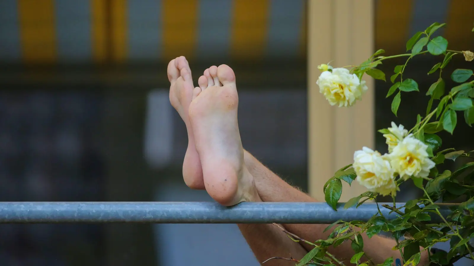 Ob beim Entspannen auf dem Balkon oder im Alltag: Gepflegte Füße brauchen Aufmerksamkeit. Auch Männerfüße! (Foto: Thomas Warnack/dpa/dpa-tmn)