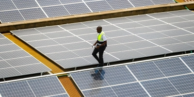 Immer häufiger müssen PV-Anlagen abgeschaltet werden, weil das Netz den Strom nicht aufnehmen kann. (Symbolbild: Brian Inganga/AP/dpa)