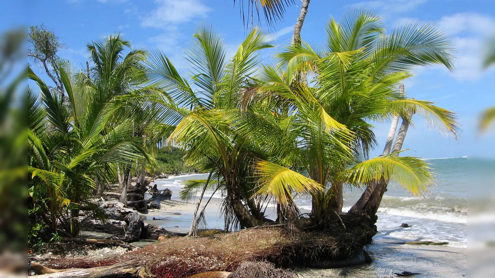 Der Fund zweier Leichen auf dem Grundstück eines deutschen Paares in Costa Rica gibt Rätsel auf. (Archivbild) (Foto: picture alliance / dpa)