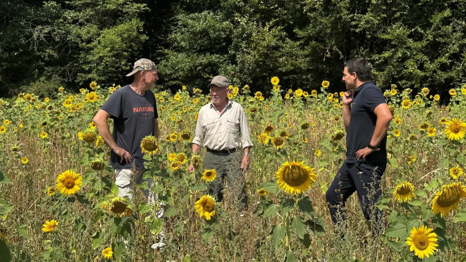 Jagdpächter Thomas Reissig und Werner Proff stehen hier gemeinsam mit Schnelldorfs Bürgermeister Tobias Strauß (von links) inmitten eines neu geschaffenen Lebensraumes. (Foto: Gemeinde Schnelldorf/Tina Hofmann-Meyer )