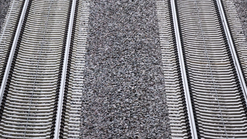 Für die Nutzung der Schieneninfrastruktur müssen Verkehrsunternehmen Geld an die DB InfraGo zahlen. (Archivbild) (Foto: Julian Stratenschulte/dpa)