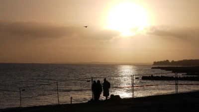 Am Morgen gab es von dem Buckelwal an der Küste vor Timmendorfer Strand zunächst keine Spur. (Foto: Marcus Brandt/dpa)