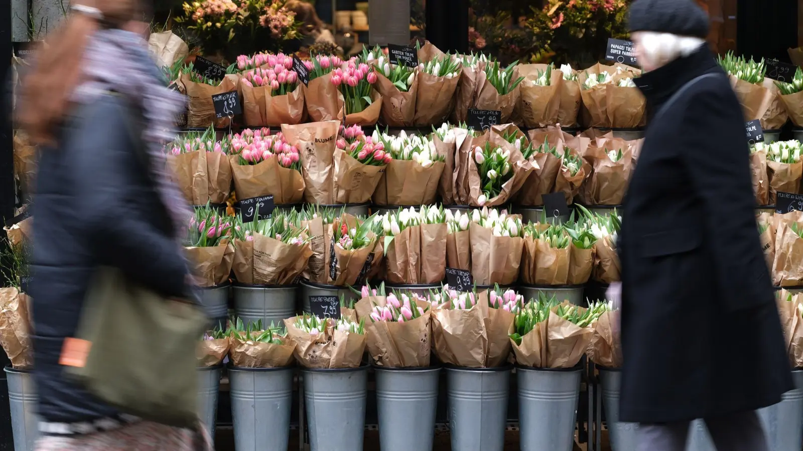 Für Tulpen müssen Verbraucher in diesem Jahr tiefer in die Tasche greifen. (Archivbild) (Foto: Sebastian Willnow/dpa)