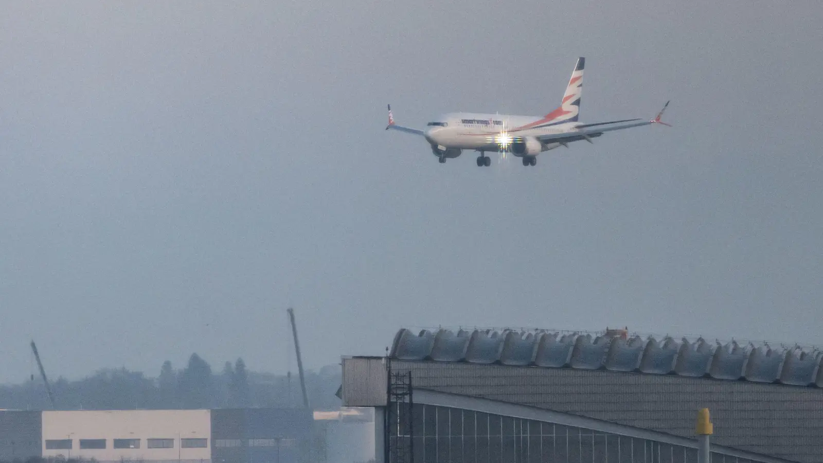 Die Chartermaschine mit den geflüchteten Afghaninnen und Afghanen an Bord landete am Morgen am Flughafen Berlin Brandenburg. (Foto: Fabian Sommer/dpa)