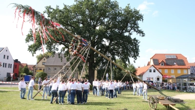 Der Kerwabaum wird am Freitag um ca. 18 Uhr aufgestellt. Danach folgt die offizielle Eröffnung der Kerwa durch den Bieranstich. (Foto: Alexander Biernoth)