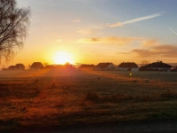Vergoldet in den Tag - gesehen in Altmannshausen (Foto: Frank Mergenthaler)