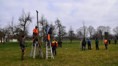 Unter fachkundiger Anleitung machten die Teilnehmerinnen und Teilnehmer am Baumwartkurs in Triesdorf die Bäume fit. (Foto: Kurt Güner)