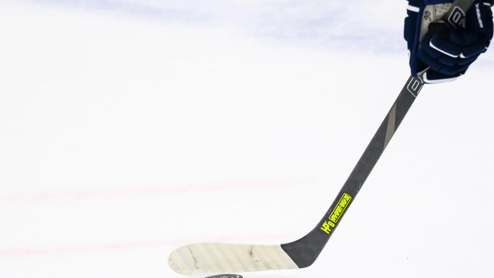 Die Straubing Tigers haben einen neuen Spieler. (Foto: Tom Weller/dpa)