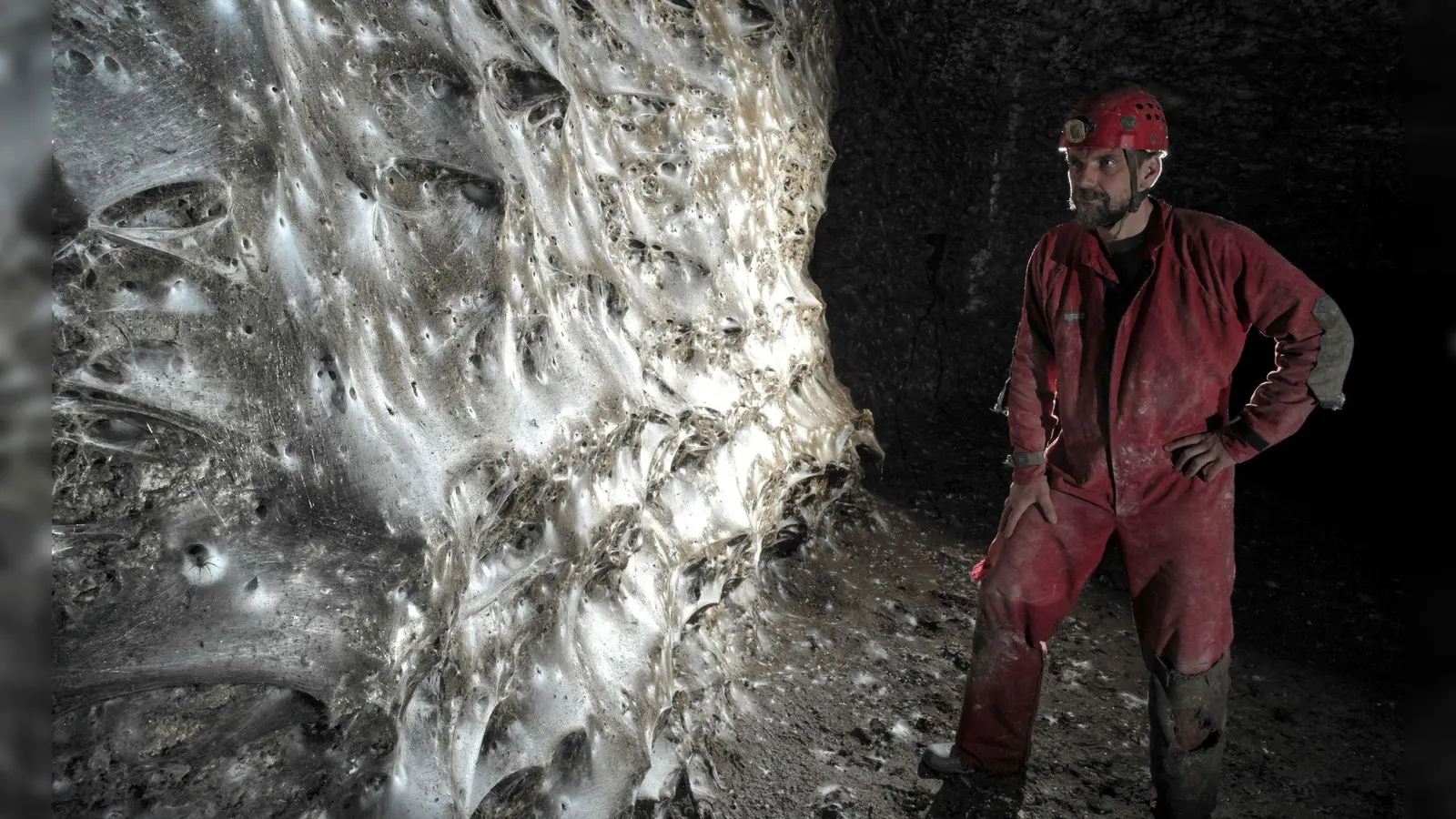 Ein Wissenschaftler vor dem riesigen Spinnennetz (Foto: Marek Audy/Urak et al. 2025, Subterranean Biology, CC BY 4.0/dpa)