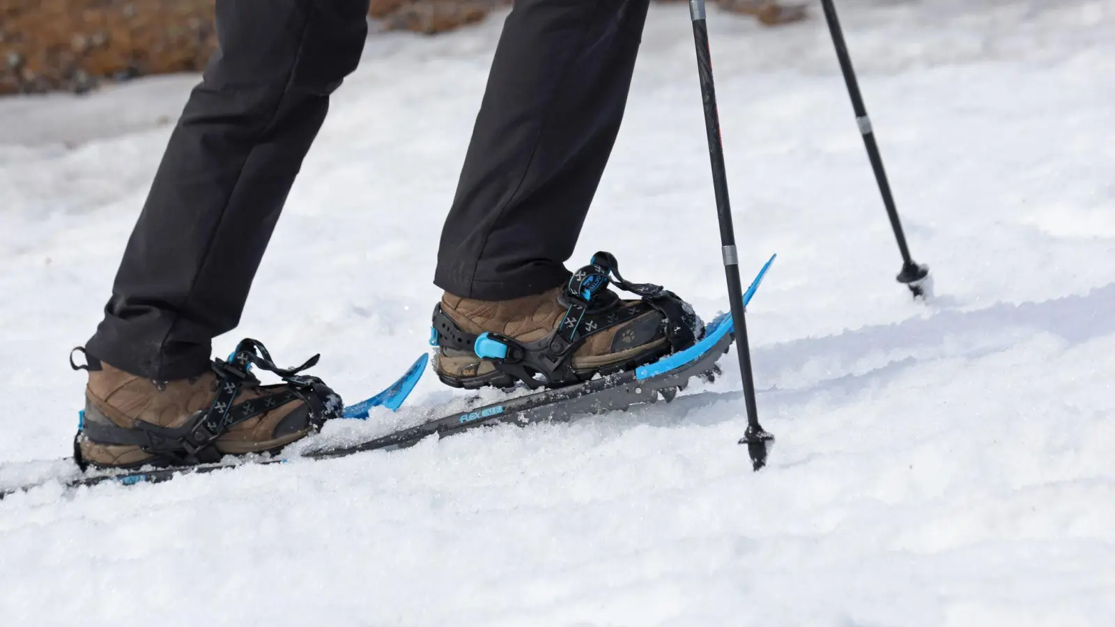 Die Wintersportler waren knapp über 2.000 Meter Seehöhe unterwegs. (Symbolbild) (Foto: Matthias Bein/dpa)