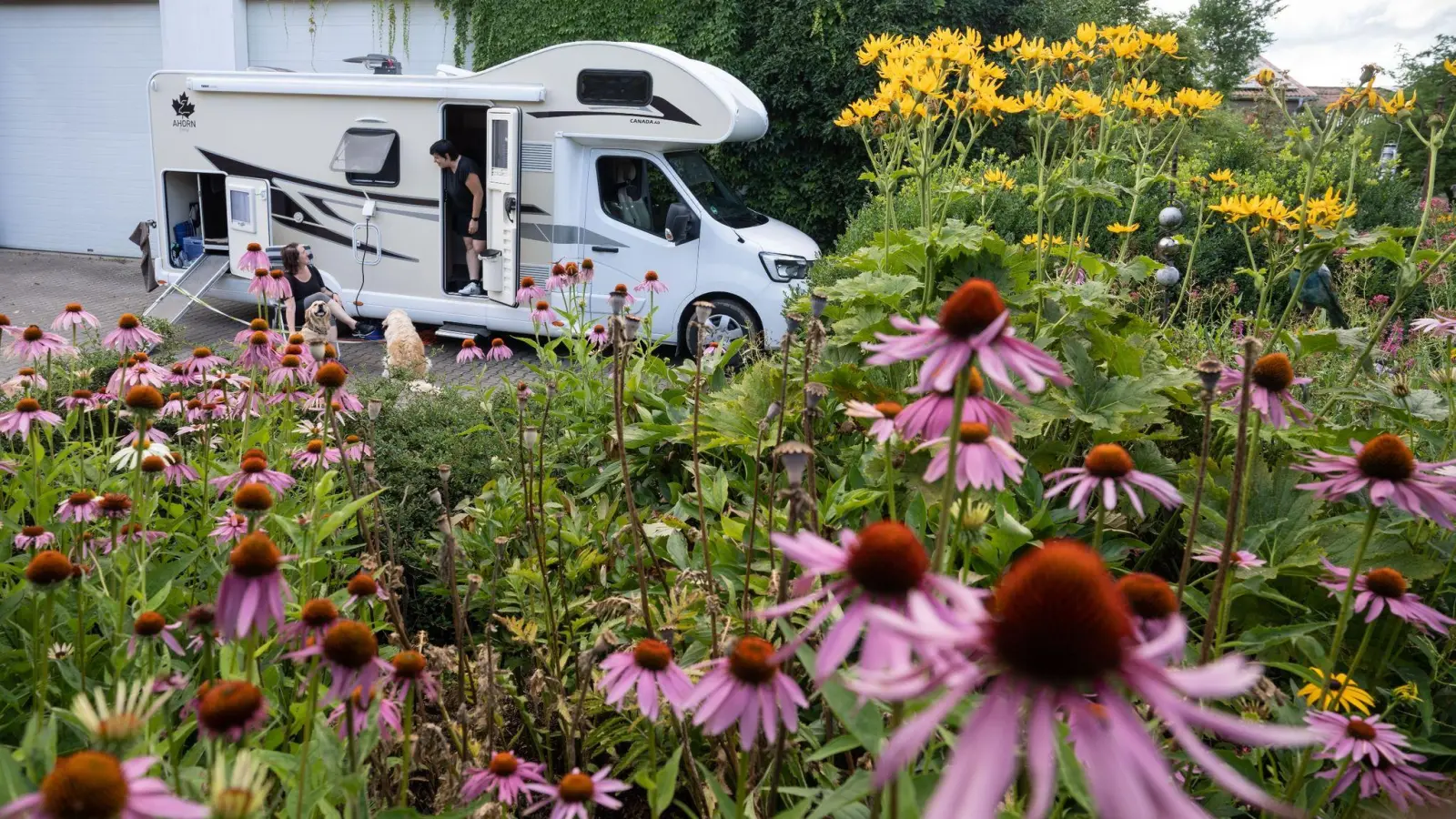 Alternative Stellplatzangebote auf dem Weingut und Bauernhof sind bei Campern beliebt. (Foto: Frank Rumpenhorst/dpa/Frank Rumpenhorst/dpa)