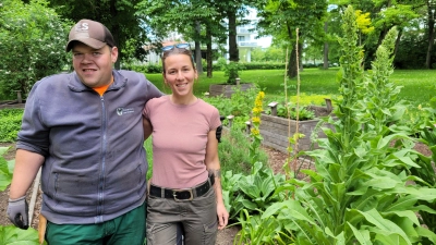 Elisabeth Edusei und Thomas Bätz pflegen gemeinsam und mit viel Herzblut den Kräutergarten im Bad Windsheimer Kurpark. (Foto: Nina Daebel)