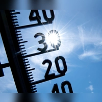 Der heiße Sommer hat schon zu vielen Todesfällen geführt. (Symbolbild) (Foto: Sven Hoppe/dpa)
