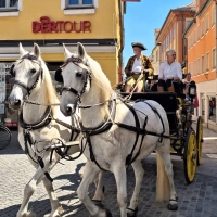 Dieses Jahr finden die Rokoko-Festspiele nicht statt. Beim Marktgeflüster ist dennoch ein pompöses Programm geboten. (Foto: Sophia Schmidt)